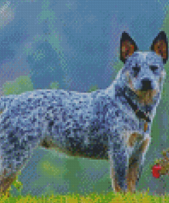 Adorable Australia Cattle Dog diamond painting