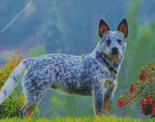 Adorable Australia Cattle Dog diamond painting