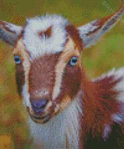 Adorable Nigerian Dwarf Goat diamond painting