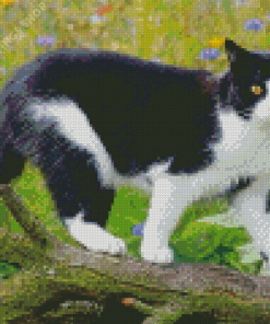 Aesthetic Cute Tuxedo Cat Art diamond painting