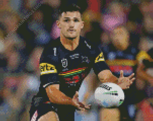 Aesthetic Penrith Panthers Art diamond painting