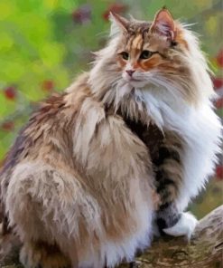 Aesthetic Norwegian Forest Cat diamond painting