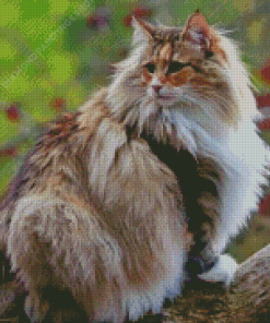 Aesthetic Norwegian Forest Cat diamond painting