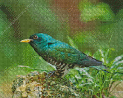 Asian Emerald Cuckoo Bird diamond painting