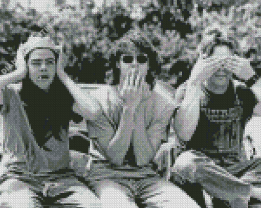 Black And White Dazed And Confused Characters diamond painting