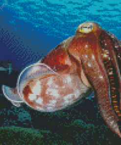 Cool Cuttlefish diamond painting