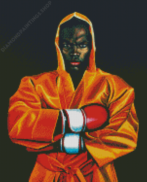 Remy Bonjasky Art diamond painting