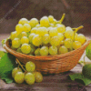 Aesthetic Grapes Fruit Diamond Paintings