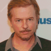 David Spade American Actor Diamond Paintings