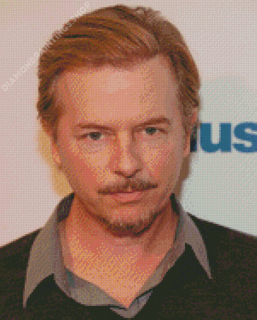 David Spade American Actor Diamond Paintings