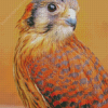 American Kestrel Sparrow Hawk Diamond Paintings