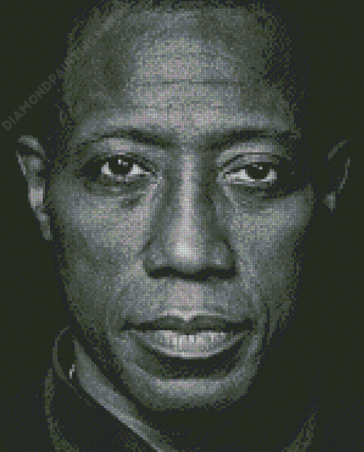 Black And White Wesley Snipes Actor Diamond Paintings