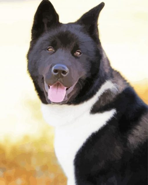 Black And white American Akita Diamond Paintings