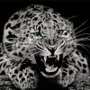 Black And White Cheetah Green Eyes Diamond Paintings