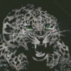 Black And White Cheetah Green Eyes Diamond Paintings