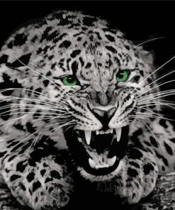 Black And White Cheetah Green Eyes Diamond Paintings