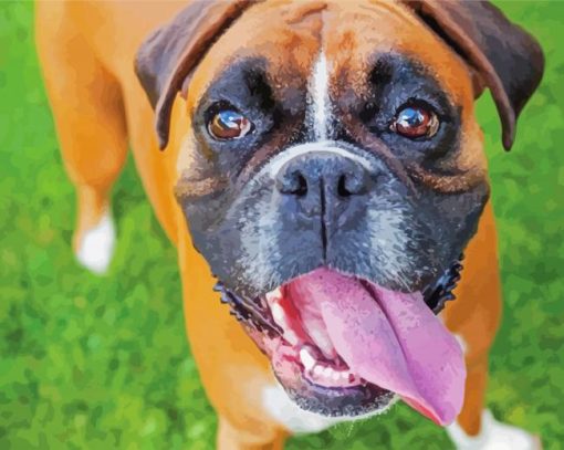 Boxer Dog Breed Diamond Paintings