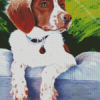 Brittany Spaniel Diamond Paintings