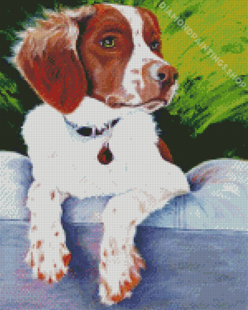 Brittany Spaniel Diamond Paintings