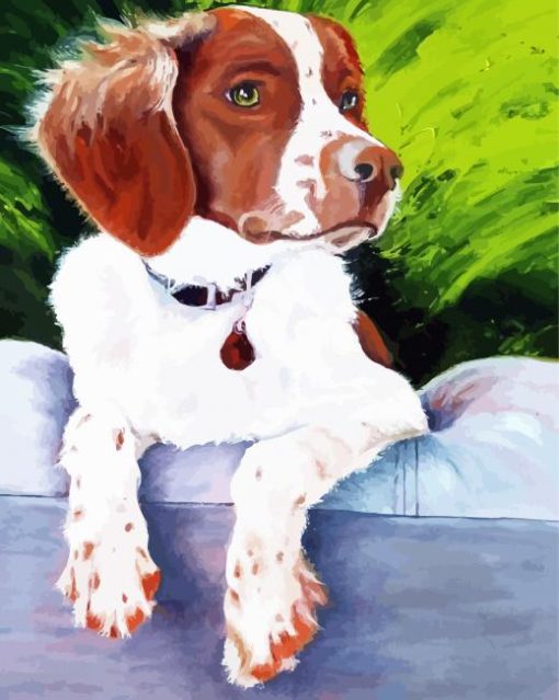 Brittany Spaniel Diamond Paintings