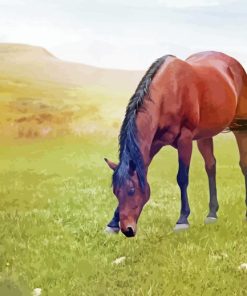 Brown Mare Horse Grazing Diamond Paintings