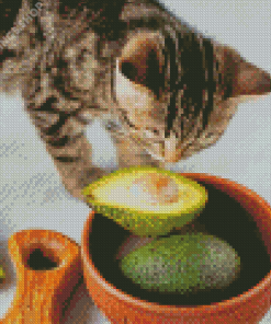Cat And Avocado Fruits Diamond Paintings