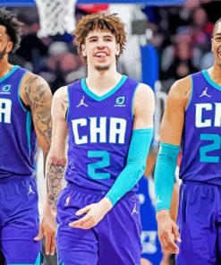 Charlotte Hornets Basketball Team Diamond Paintings