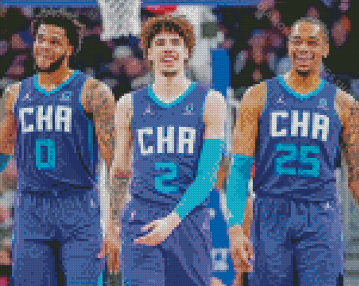 Charlotte Hornets Basketball Team Diamond Paintings