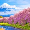 Japan Cherry Blossom Diamond Paintings