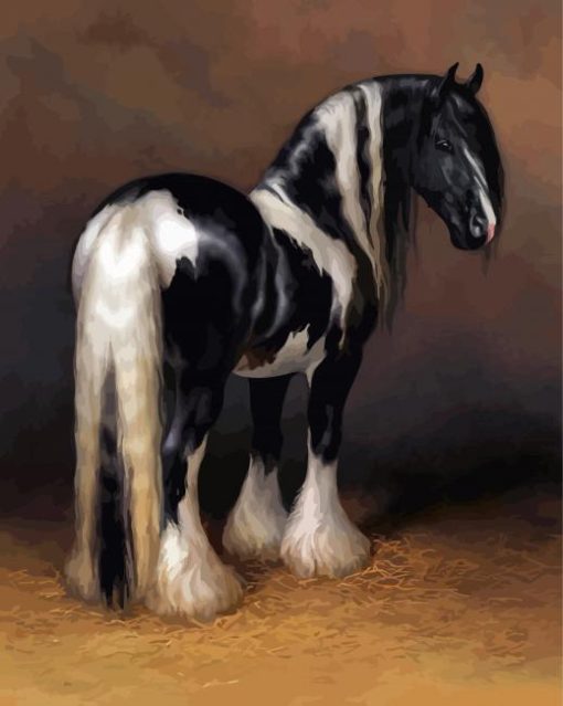 Cob Horse Diamond Paintings