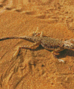 Desert Gecko Diamond Paintings