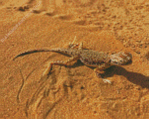 Desert Gecko Diamond Paintings