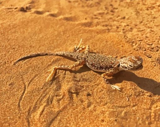 Desert Gecko Diamond Paintings