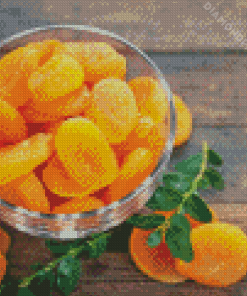 Dried Fruit Apricots Diamond Paintings