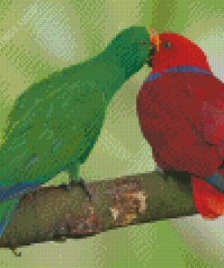 Eclectus Parrot Diamond Paintings