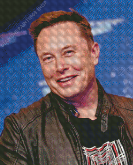 Elon Musk Smiling Diamond Paintings