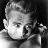 The Enigma Of James Dean Diamond Paintings