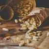 Fresh Boiled Peanut Diamond Paintings