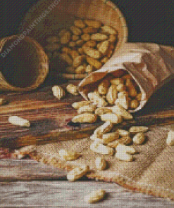 Fresh Boiled Peanut Diamond Paintings