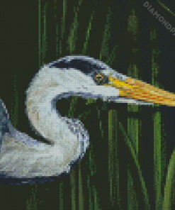 Grey Heron Head Art Diamond Paintings