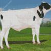 Holstein Friesian Cattle Animal Diamond Paintings