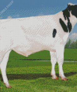 Holstein Friesian Cattle Animal Diamond Paintings