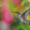 Hummingbird And Bee Diamond Paintings