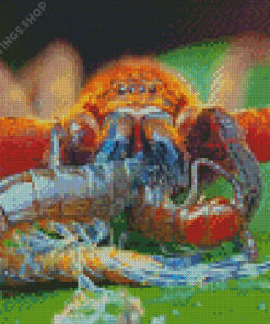Huntsman Spider Eating Prey Diamond Paintings