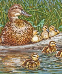 Mallard Duck Baby Birds Diamond Paintings