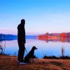 Man And Dog Silhouette By Lake Diamond Paintings