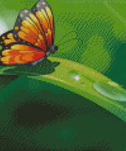 Monarch Butterfly With Water Diamond Paintings