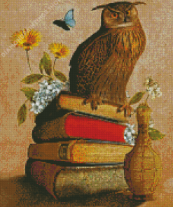 Owl Bird On Books Diamond Paintings
