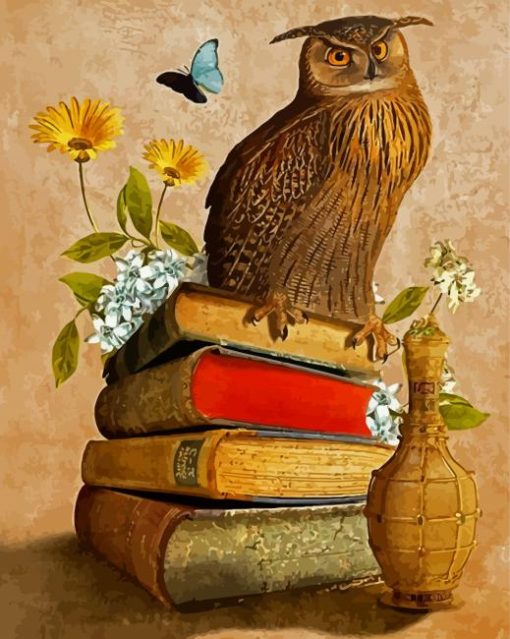 Owl Bird On Books Diamond Paintings