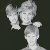 Prince William And Harry With Diana Diamond Paintings